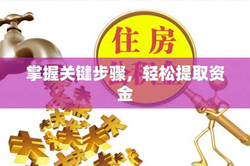 正阳掌握关键步骤，轻松提取资金