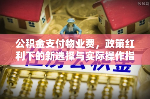正阳公积金支付物业费，政策红利下的新选择与实际操作指南