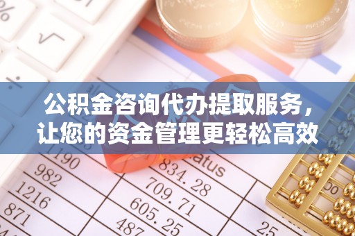 正阳公积金咨询代办提取服务，让您的资金管理更轻松高效