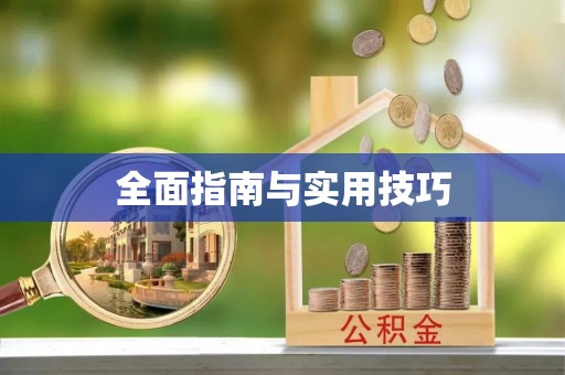 正阳全面指南与实用技巧