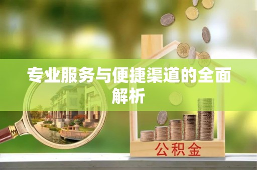正阳专业服务与便捷渠道的全面解析