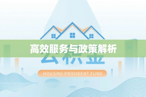 正阳高效服务与政策解析